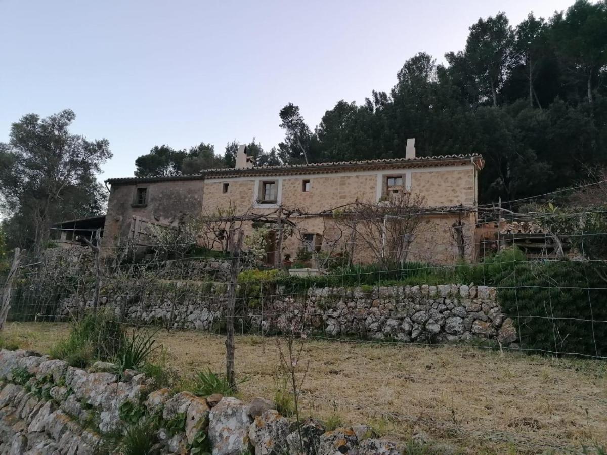 Penes Chalet *