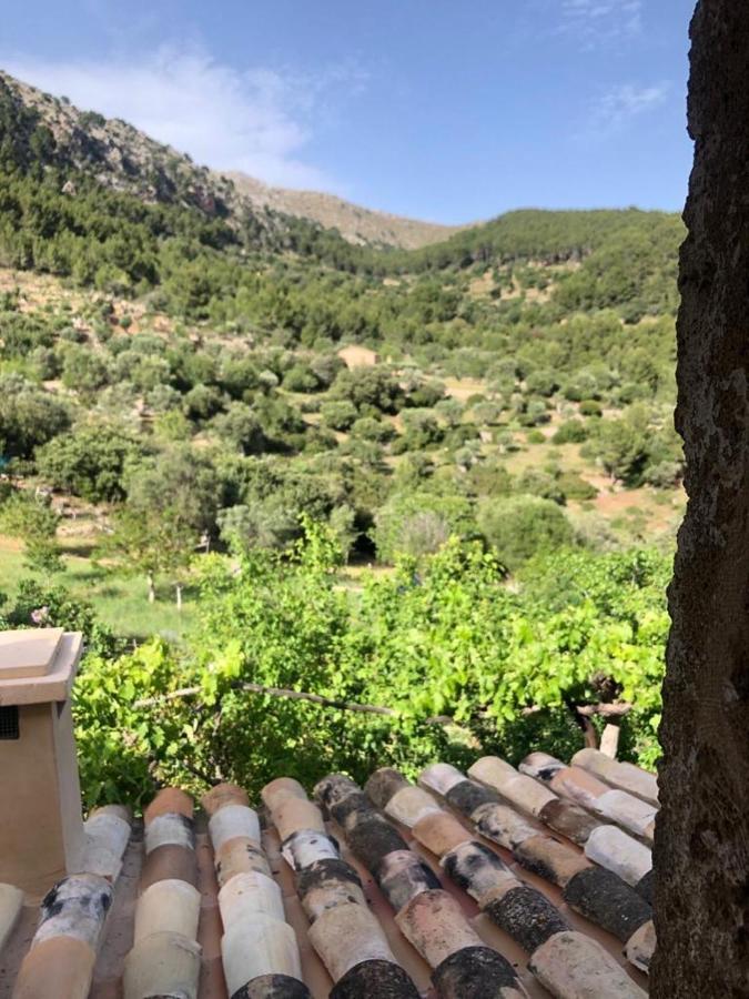 Penes Chalet *